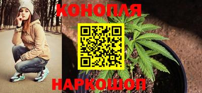 стафф Нальчик