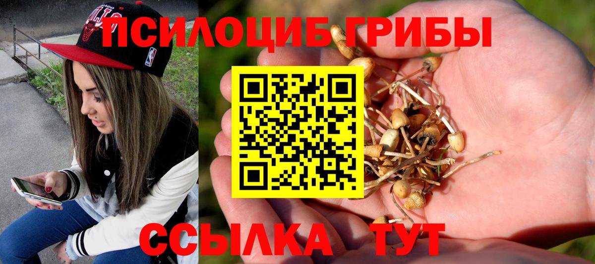 Пыть-Ях  Галлюциногенные грибы ЛСД  Вход с VPN  Псилоцибиновые грибы Psilocybine cubensis 